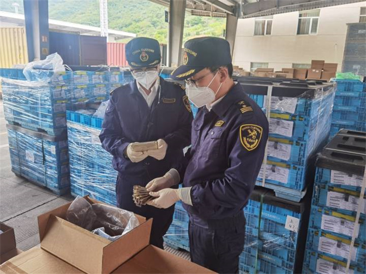 Skatinti užsienio prekybą siekiant užtikrinti stabilumą ir gerinti kokybę Ningbo muitinė išleido 20 