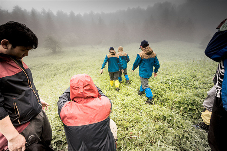 Kas yra SURVIVA Wilderness Survival?